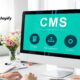Everything to Know About Shopify CMS