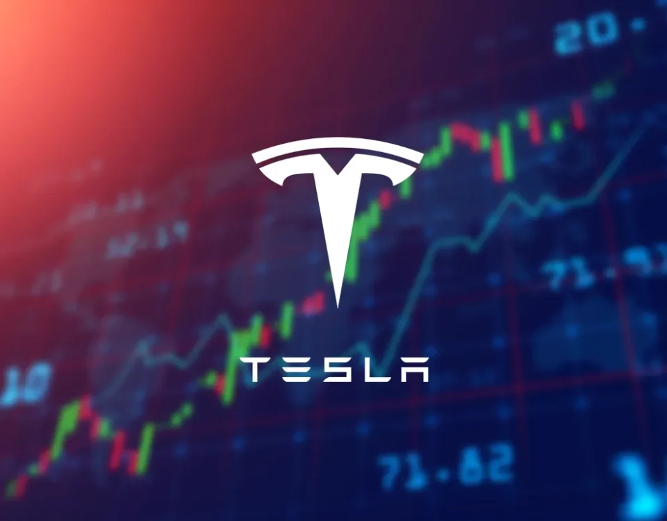 Tesla's 2022 stocks took the biggest annual drop