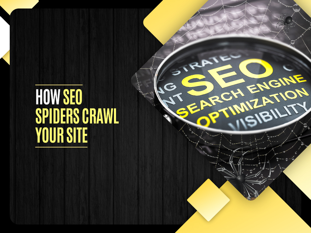 How SEO Spiders Crawl Your Site