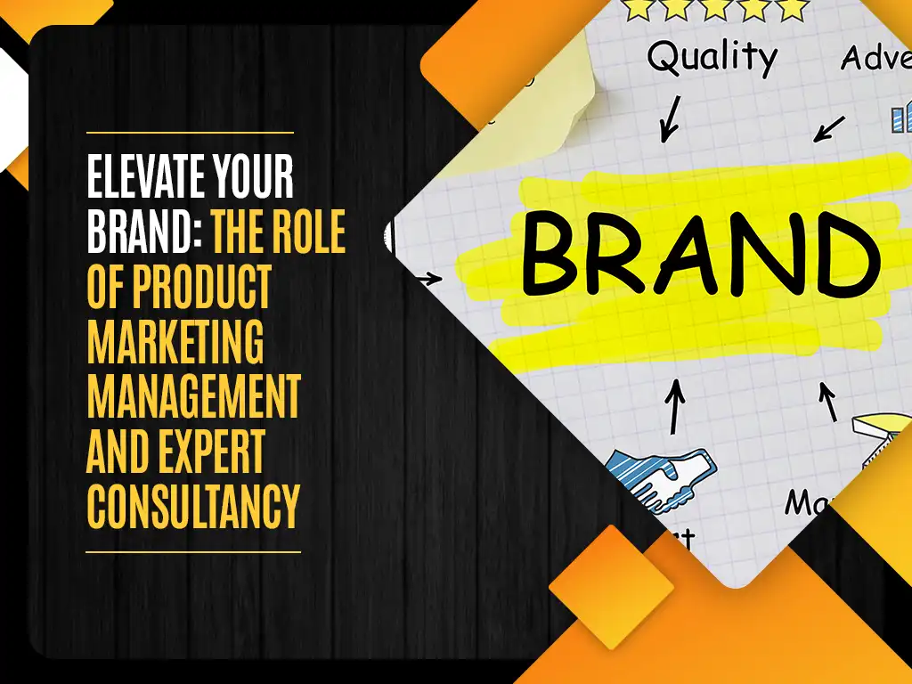 Elevate Your Brand The Role of Product Marketing Management and Expert Consultancy