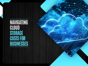 Navigating Cloud Storage Costs for Businesses